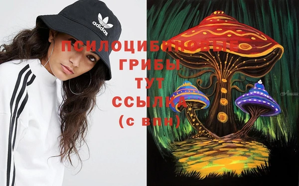 МДПВ Медвежьегорск