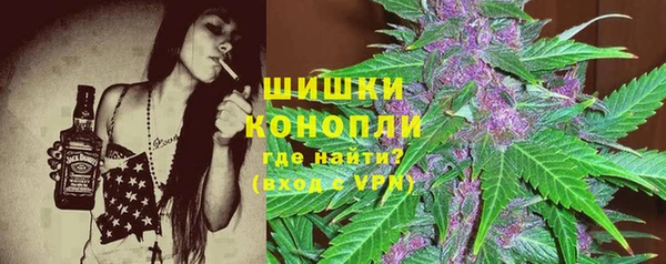 индика Медногорск