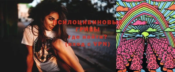 прущие грибы Алексеевка