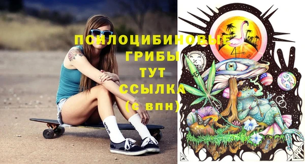прущие грибы Алексеевка