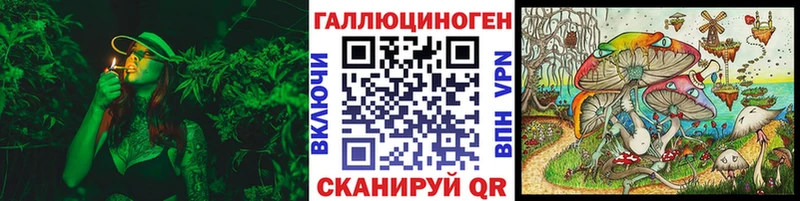 Псилоцибиновые грибы Psilocybe  купить  сайты  OMG маркетплейс  Жуковский 